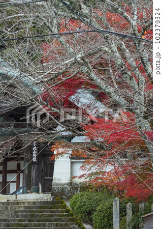 日本　京都府京都市にある本願寺北山別院の山門と紅葉 102379324