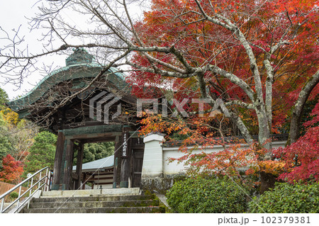 日本 京都府京都市にある本願寺北山別院の山門と紅葉 日本 京都府京都市にある本願寺北山別院の山門と紅葉 102379381