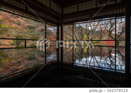 日本　京都府京都市にある瑠璃光院の書院　写経机に反射した瑠璃の庭の紅葉 102379528