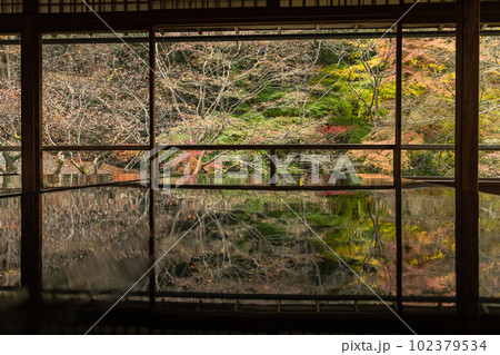 日本　京都府京都市にある瑠璃光院の書院　写経机に反射した瑠璃の庭の紅葉 102379534