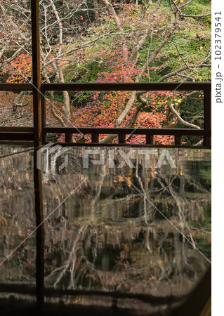 日本 京都府京都市にある瑠璃光院の書院 写経机に反射した瑠璃の庭の紅葉 日本 京都府京都市にある瑠璃光院の書院 写経机に反射した瑠璃の庭の紅葉 102379541
