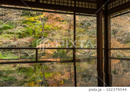日本　京都府京都市にある瑠璃光院の書院　写経机に反射した瑠璃の庭の紅葉 102379544