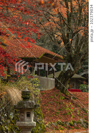 日本 京都府京都市の二ノ瀬にある白龍園の庭園の紅葉 日本 京都府京都市の二ノ瀬にある白龍園の庭園の紅葉 102379834
