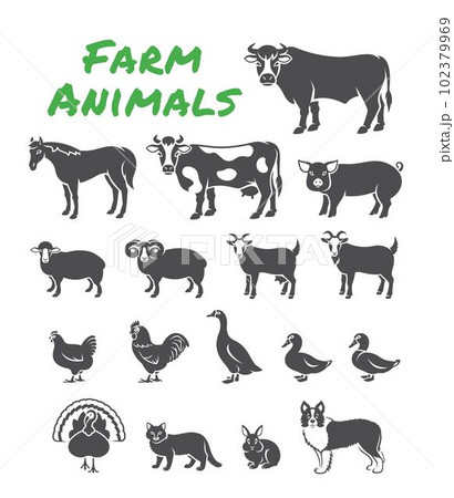 Domestic farm animals solid silhouette illustrations. Simple outline elements of large and small cattle, fowl, horse, pig, turkey, rabbit, other pets. Clip art of livestock, male and female species 102379969