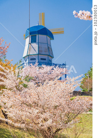 （福島県）広野町二ツ沼総合公園の桜・風車 102380013