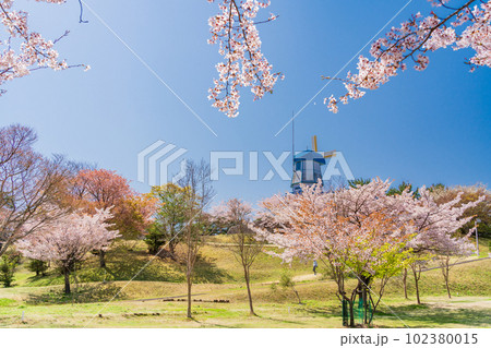 （福島県）広野町二ツ沼総合公園の桜・風車 102380015