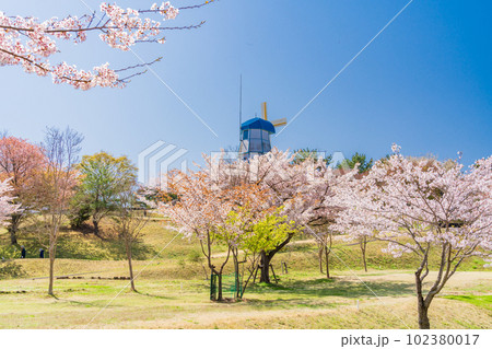 （福島県）広野町二ツ沼総合公園の桜・風車 102380017