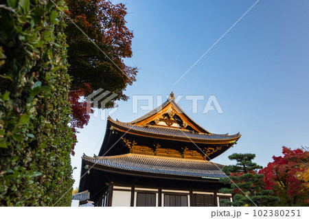日本　京都府京都市にある東福寺の本堂と紅葉 102380251
