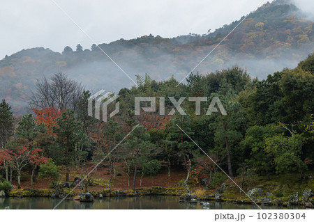 日本　京都府京都市にある天龍寺の曹源池庭園の紅葉と雨で霞がかった嵐山 102380304