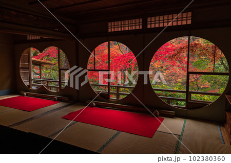 日本 京都府京都市の嵯峨嵐山にある祐斎亭の丸窓の部屋の窓から見える雨に濡れた紅葉 日本 京都府京都市の嵯峨嵐山にある祐斎亭の丸窓の部屋の窓から見える雨に濡れた紅葉 102380360