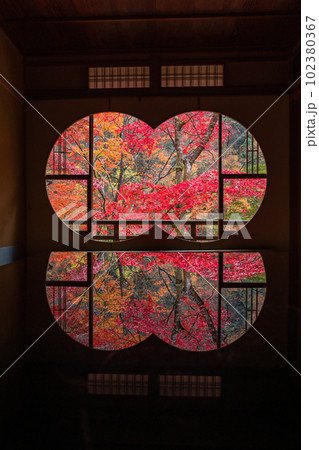 日本 京都府京都市の嵯峨嵐山にある祐斎亭の丸窓の部屋の机に反射して映る雨に濡れた紅葉 日本 京都府京都市の嵯峨嵐山にある祐斎亭の丸窓の部屋の机に反射して映る雨に濡れた紅葉 102380367