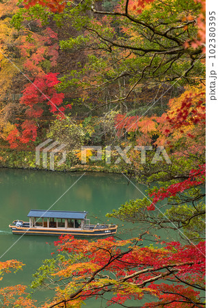日本 京都府京都市の嵯峨嵐山にある祐斎亭から見える雨に濡れた紅葉と桂川 日本 京都府京都市の嵯峨嵐山にある祐斎亭から見える雨に濡れた紅葉と桂川 102380395