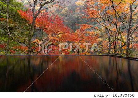 日本 京都府京都市の嵯峨嵐山にある祐斎亭の水鏡に映る紅葉 日本 京都府京都市の嵯峨嵐山にある祐斎亭の水鏡に映る紅葉 102380450