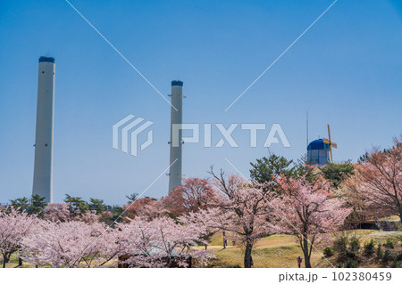 （福島県）広野町　桜咲く、二ツ沼総合公園　風車と煙突 102380459