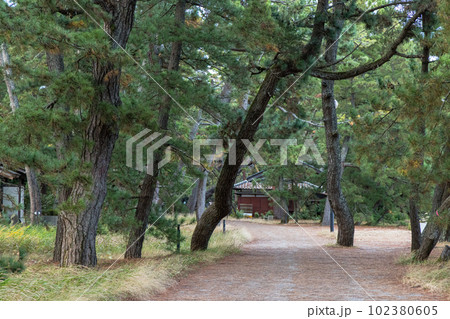 日本　京都府宮津市の丹後天橋立大江山国定公園 102380605