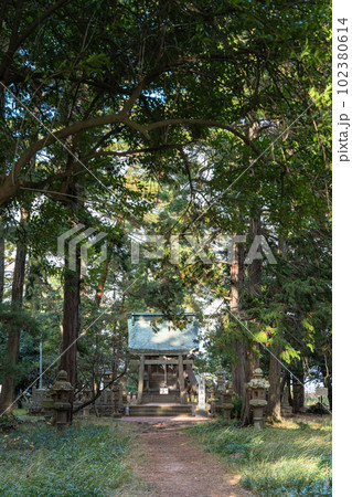 日本　京都府宮津市の丹後天橋立大江山国定公園にある天橋立神社 102380614