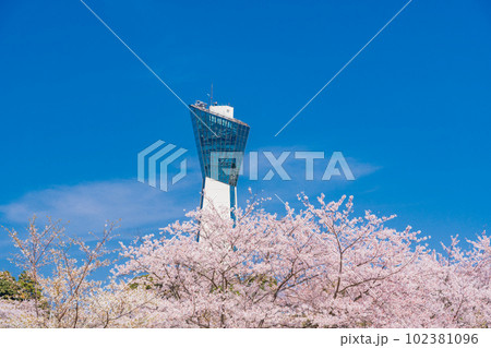 (福島県)いわき市小名浜三崎公園 桜に囲まれた、いわきマリンタワー (福島県)いわき市小名浜三崎公園 桜に囲まれた、いわきマリンタワー 102381096