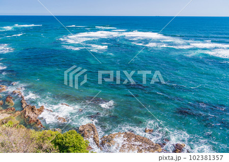 (福島県)いわき市小名浜 三崎公園の桜 (福島県)いわき市小名浜 三崎公園の桜 102381357