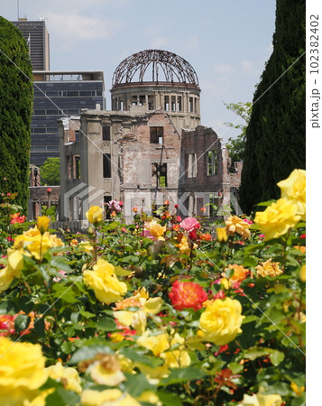 バラの花と原爆ドーム 102382402