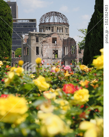バラの花と原爆ドーム バラの花と原爆ドーム 102382403