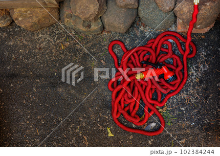 red hose for watering plants or for cleaning and washing sidewalks. color tool for watering flowers 102384244