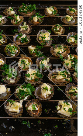 Limpets molluscs with garlic parsley butter 102384860