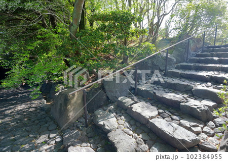 伝統的な和風建築（どうだん亭　旧浅井家住宅離れ　愛知県 尾張旭市） 102384955