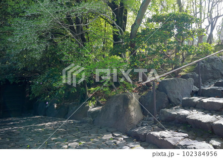 伝統的な和風建築（どうだん亭　旧浅井家住宅離れ　愛知県 尾張旭市） 102384956