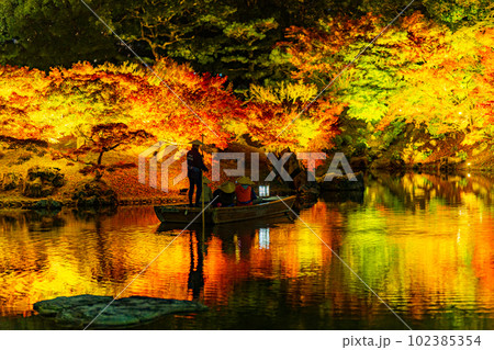 【高松市】栗林公園　秋のライトアップ【紅葉】 102385354