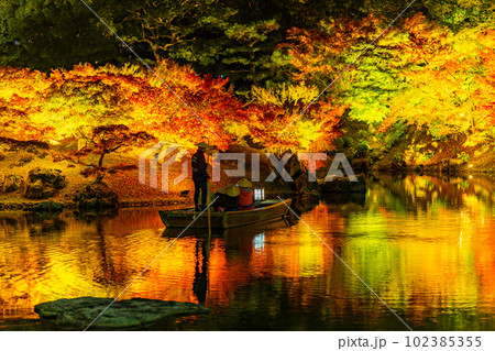 【高松市】栗林公園　秋のライトアップ【紅葉】 102385355