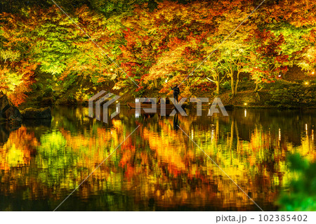 【高松市】栗林公園　秋のライトアップ【紅葉】 102385402