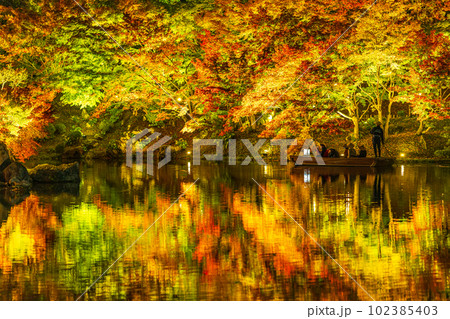 【高松市】栗林公園 秋のライトアップ【紅葉】 【高松市】栗林公園 秋のライトアップ【紅葉】 102385403