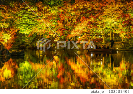 【高松市】栗林公園　秋のライトアップ【紅葉】 102385405