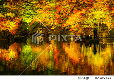 【高松市】栗林公園　秋のライトアップ【紅葉】 102385433