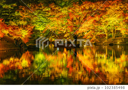 【高松市】栗林公園　秋のライトアップ【紅葉】 102385498