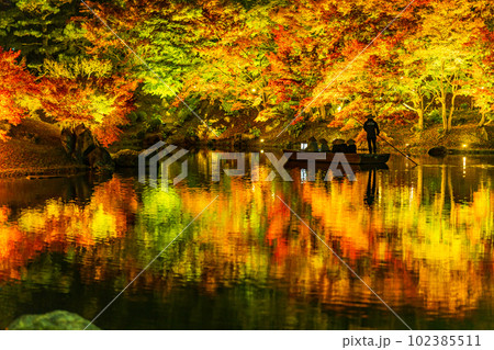 【高松市】栗林公園 秋のライトアップ【紅葉】 【高松市】栗林公園 秋のライトアップ【紅葉】 102385511