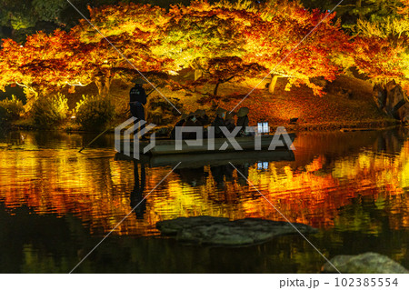 【高松市】栗林公園 秋のライトアップ【紅葉】 【高松市】栗林公園 秋のライトアップ【紅葉】 102385554