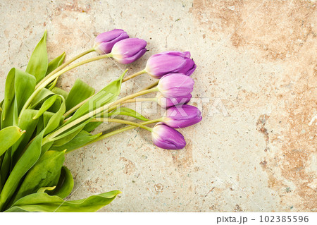 Bouquet of purple tulips on a travertine stone background 102385596