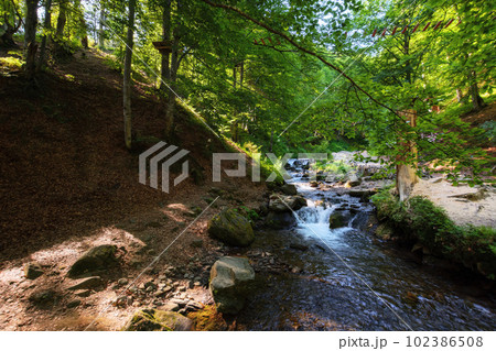 creek in the woods. nature wallpaper with cascades. warm summer morning 102386508