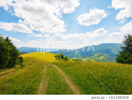 trail through rural fields and meadows on the hills. carpathian countryside in summer with mountain range in the distance. sunny afternoon weather trail through rural fields and meadows on the hills. carpathian countryside in summer with mountain range in the distance. sunny afternoon weather 102386509