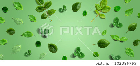 Green leaf frame design background Green leaf frame design background 102386795