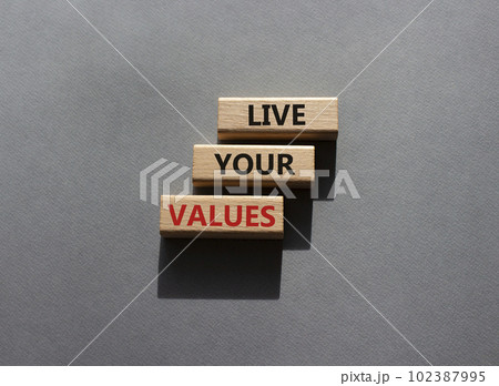 Live your values symbol. Concept words Live your values on wooden blocks. Beautiful grey background. Business and Live your values concept. Copy space. 102387995