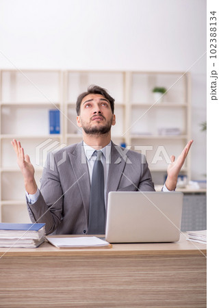 Young male employee working in the office Young male employee working in the office 102388134