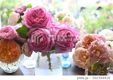 美しい色合いの薔薇がのバラが窓辺に飾られているところ 美しい色合いの薔薇がのバラが窓辺に飾られているところ 102388810