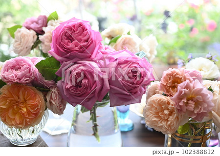 美しい色合いの薔薇がのバラが窓辺に飾られているところ 美しい色合いの薔薇がのバラが窓辺に飾られているところ 102388812