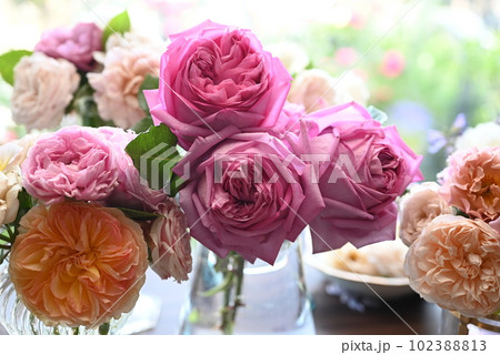 美しい色合いの薔薇がのバラが窓辺に飾られているところ 美しい色合いの薔薇がのバラが窓辺に飾られているところ 102388813