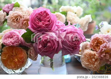美しい色合いの薔薇がのバラが窓辺に飾られているところ 美しい色合いの薔薇がのバラが窓辺に飾られているところ 102388816