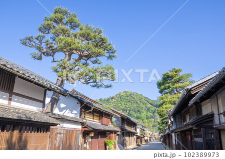 近江八幡の町並み(新町通り) 近江八幡の町並み(新町通り) 102389973