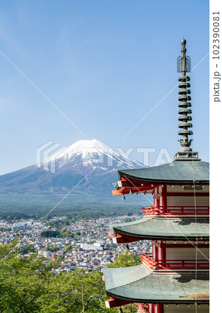 【山梨県】春の新緑の新倉山浅間公園 【山梨県】春の新緑の新倉山浅間公園 102390081
