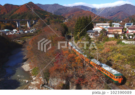 紅葉の諏訪峡をゆく上越線115系（群馬県利根郡みなかみ町） 102390089